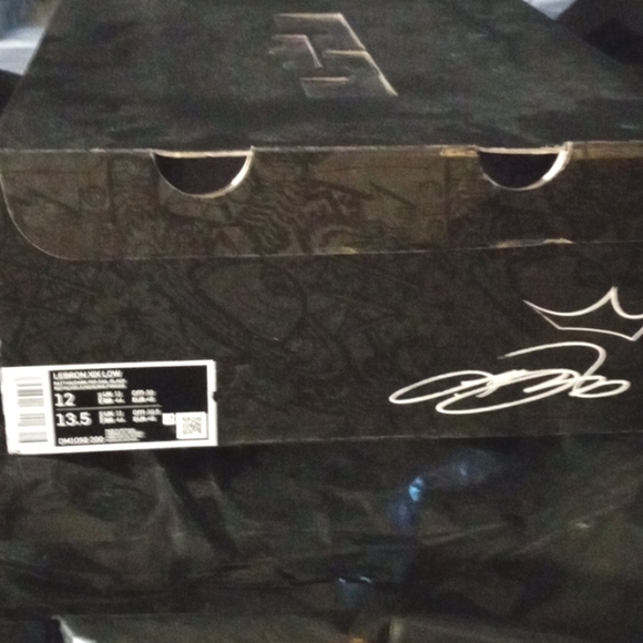 Lebron James XIX (NIKE) Men's size 12 - Picture 3 of 5